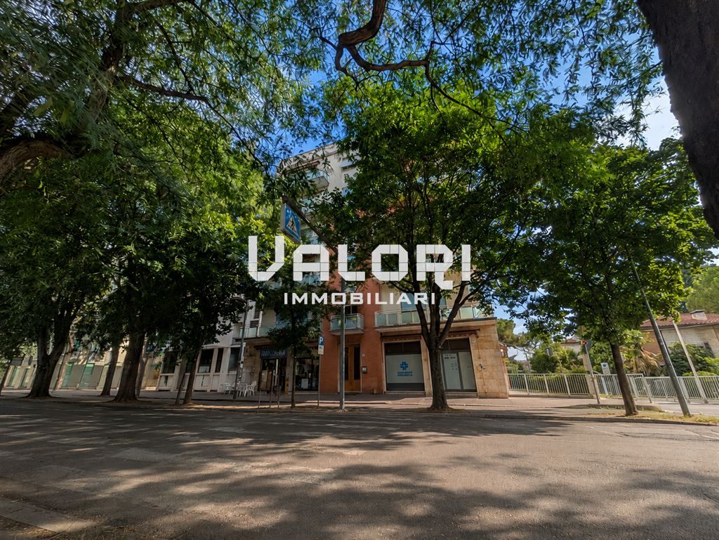 ULTIMO PIANO TRILOCALE CON ASCENSORE TERRAZZO E CANTINA